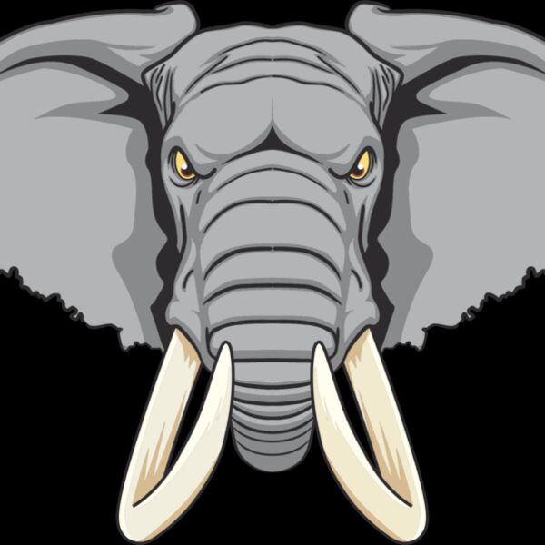 Elephent Head Thumbnail