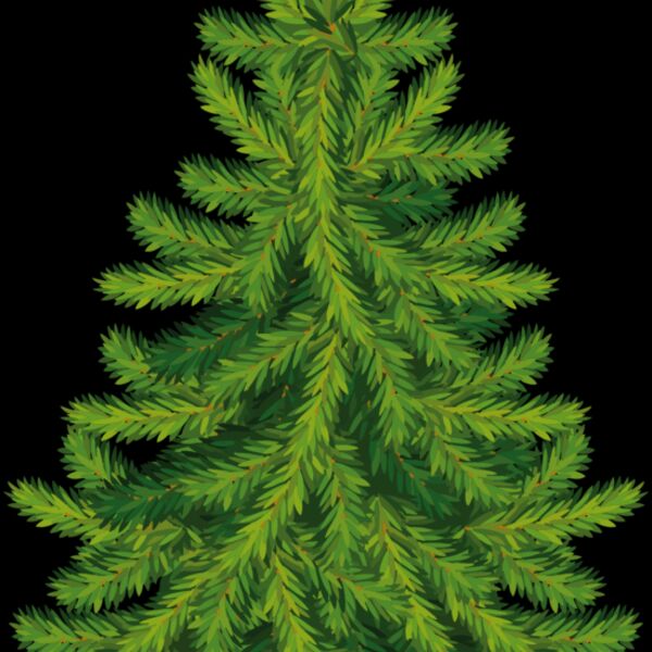 Christmas Trees 006 Thumbnail