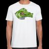 Mens Softstyle Tee Shirt Thumbnail