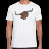 Mens Softstyle Tee Shirt Thumbnail