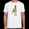 Mens Softstyle Tee Shirt Thumbnail