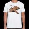 Mens Softstyle Tee Shirt Thumbnail