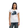 Womens Softstyle Cotton Tee Thumbnail